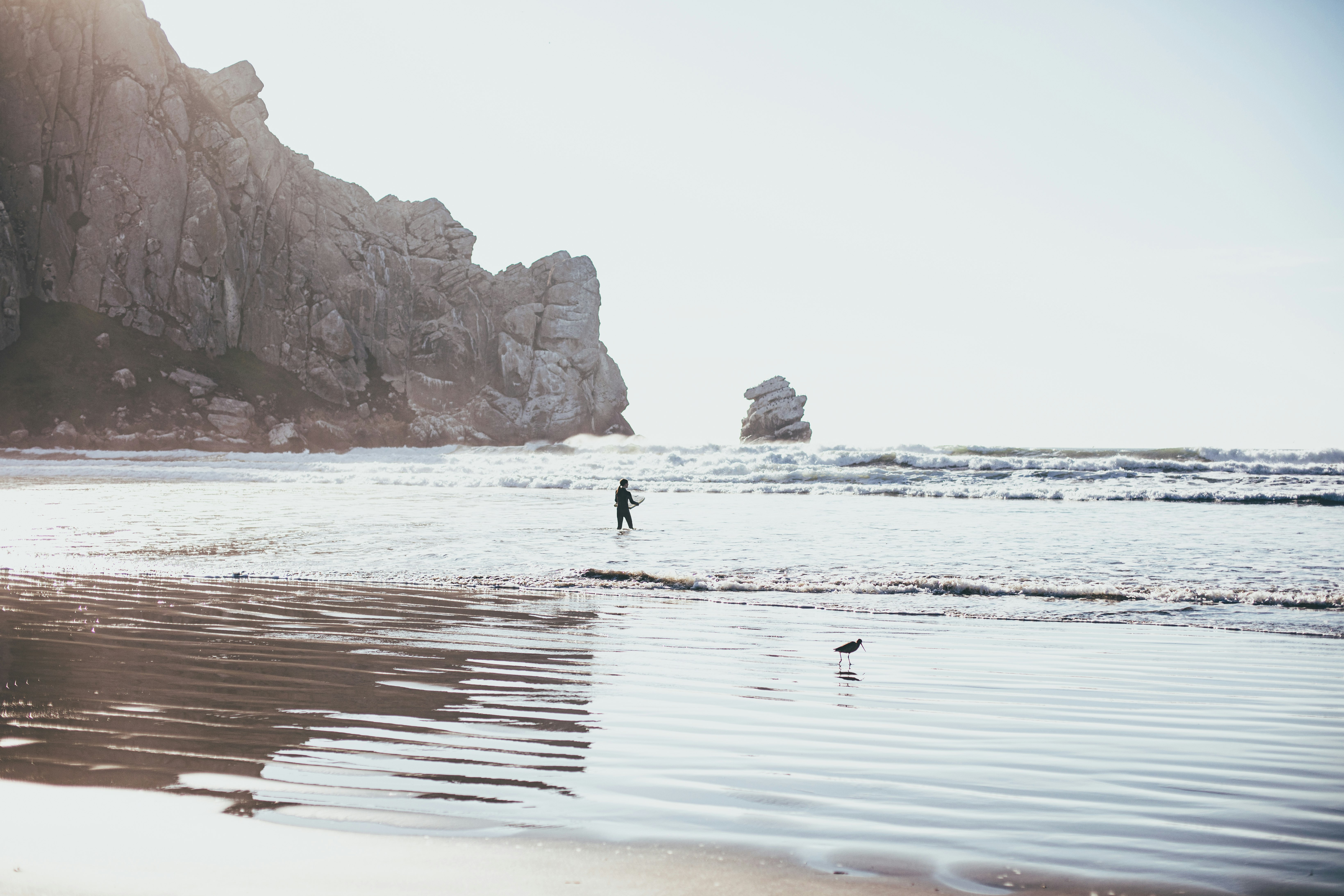 person walking on beach